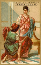 Seta