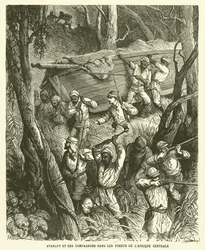 Stanley Et Ses Compagnons Dans Les Forets De L