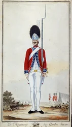 Guardia Svizzera. Tavola 16 in 