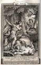 Telemaco libera Antiope da un cinghiale - incisione del 1798 di Monnet in 