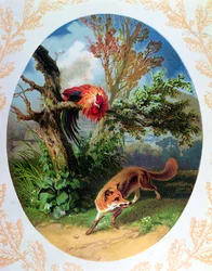 Il gallo e la volpe, illustrazione dalla favola di Jean de La Fontaine (1621-95), ca. 1860-80