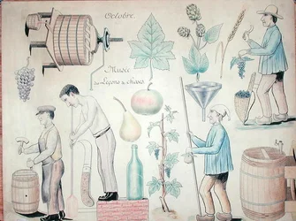 Il mese di ottobre: produzione del vino