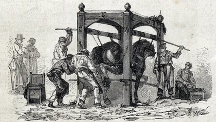 La Scuola nazionale veterinaria di Alfort - Le grandi scuole di Francia - Scuola veterinaria di Maisons-Alfort nel 1866 - la ferratura dei cavalli recalcitranti - incisione in «Le Monde illustré» del 1866