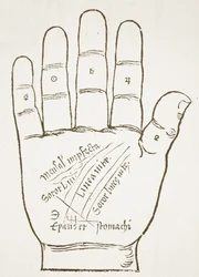 La Mano Destra, Linee Principali, copia di un