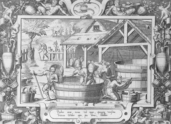 La vendemmia