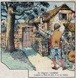 La ghianda e la zucca. Favole di Jean de La Fontaine (1621-95). Immagine di Epinal fine XIX secolo.