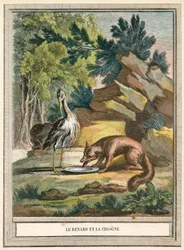 La volpe e la cicogna