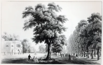 Il viale principale nel Prater, Vienna, 1821