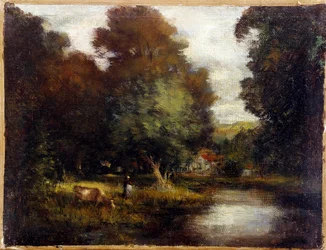 Lo stagno