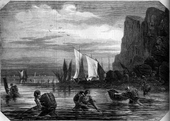 La pesca dei gamberetti nei pressi di Le Havre, Seine-Maritime (76)