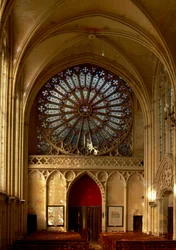 La rosa occidentale (rosa - interno)