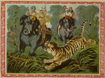 Caccia alla tigre