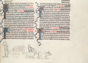 Trasporto di beni su un carro trainato da buoi, miniatura incompiuta dalla Bibbia di Jean de Sy, c.1355