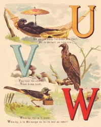 U V W: Emù nero, avvoltoio, ballerina, whisky