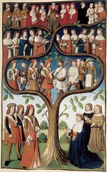 Immagine sconosciuta