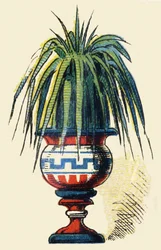 Immagine sconosciuta