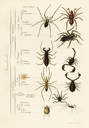 Immagine sconosciuta