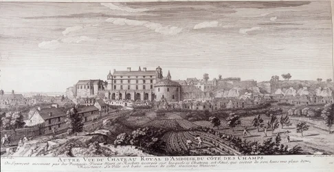 Veduta del Castello Reale di Amboise dalla costa dei campi