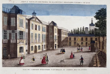 Veduta del gabinetto di storia naturale al Jardin des Plantes di Parigi