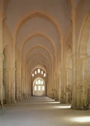 Veduta della navata