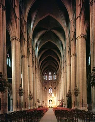 Vista della navata