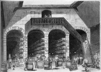 Viticoltura: vista interna delle cantine di M. Cruse et fils freres, Bordeaux, Gironda (33)