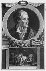 Voltaire e l