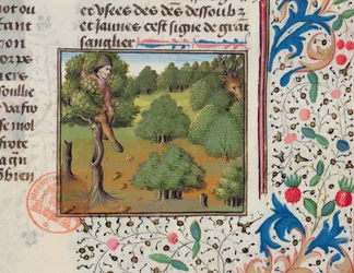 Aspettando i Cervi Nascosti in un Albero, dal Livre de la Chasse di Gaston Phebus