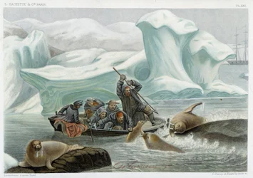 Caccia al tricheco - in "Le monde de la mer" di Alfred Fredol, Hachette, Parigi