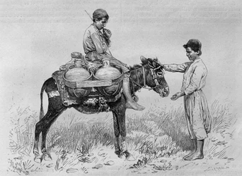 Portatore d