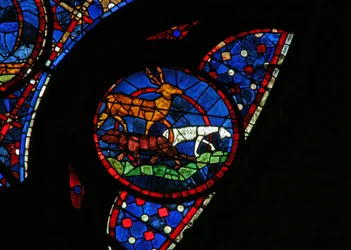 La creazione degli animali