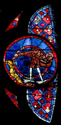 La creazione degli uccelli - un uccello insolito