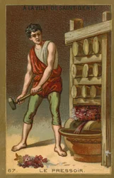 Torchio da vino