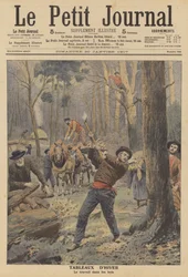 Taglialegna al lavoro in inverno