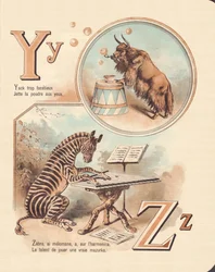Y Z: Yak, Zebra