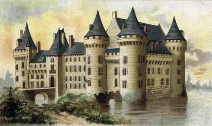 vista del castello di Sully (Loiret)
