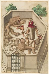 "Non Nutrite Cose che Hanno Artigli Affilati" [fol. 38 recto]