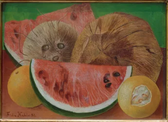 Sguardi o Le noci di cocco