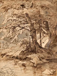 Studio di albero