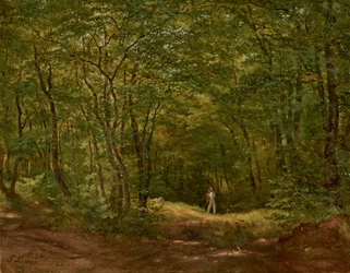 Passeggiatori in un paesaggio boschivo