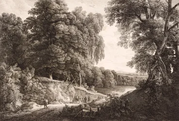 Paesaggio boschivo