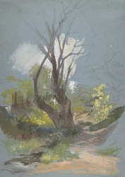 Sentiero di montagna con un albero