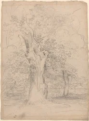 Albero antico con figure in un paesaggio
