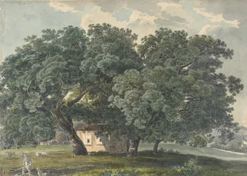 Paesaggio italiano con alberi