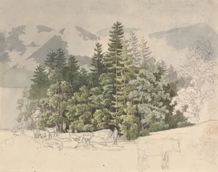Paesaggio alpino (guazzo su grafite)