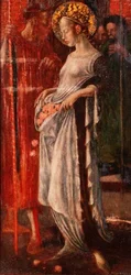 Spargendo rose