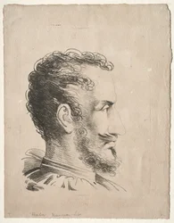 Testa di profilo