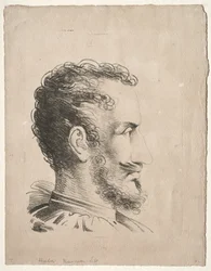 Testa di profilo