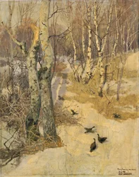 Boschi coperti di neve