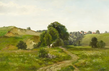 Paesaggio collinare estivo